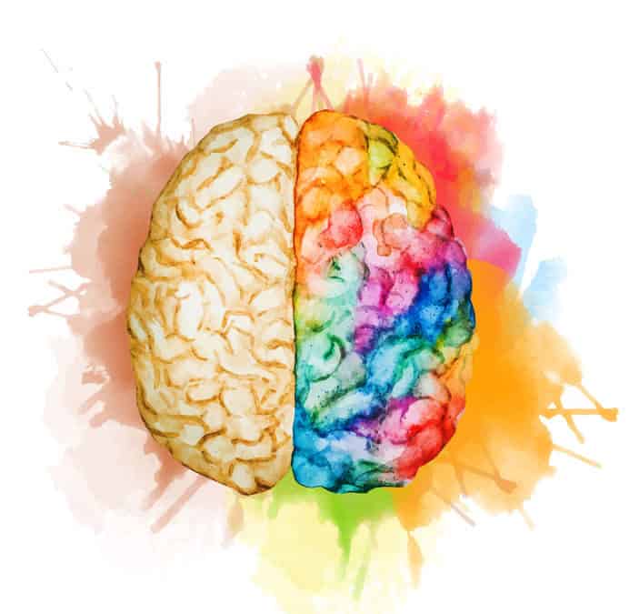 watercolor brain